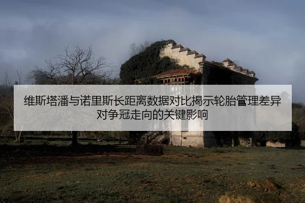 维斯塔潘与诺里斯长距离数据对比揭示轮胎管理差异对争冠走向的关键影响