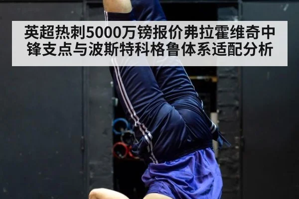 英超热刺5000万镑报价弗拉霍维奇中锋支点与波斯特科格鲁体系适配分析
