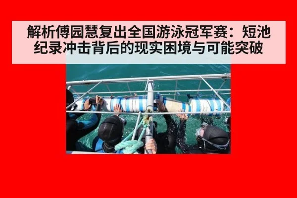 解析傅园慧复出全国游泳冠军赛:短池纪录冲击背后的现实困境与可能突破