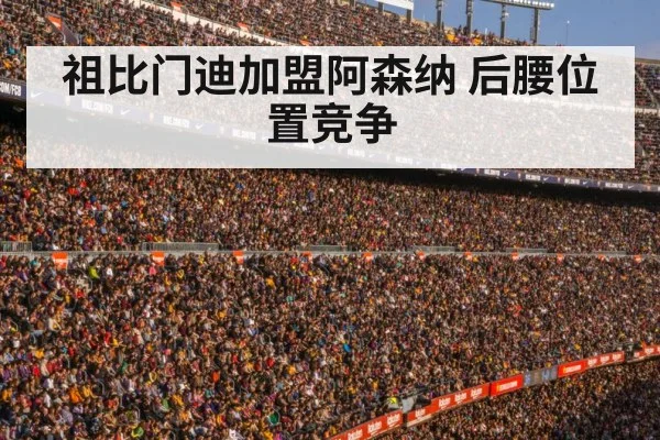 football stadium crowd